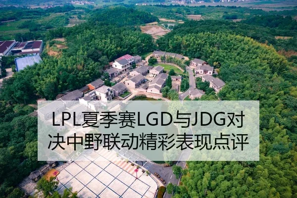 LPL夏季赛LGD与JDG对决中野联动精彩表现点评